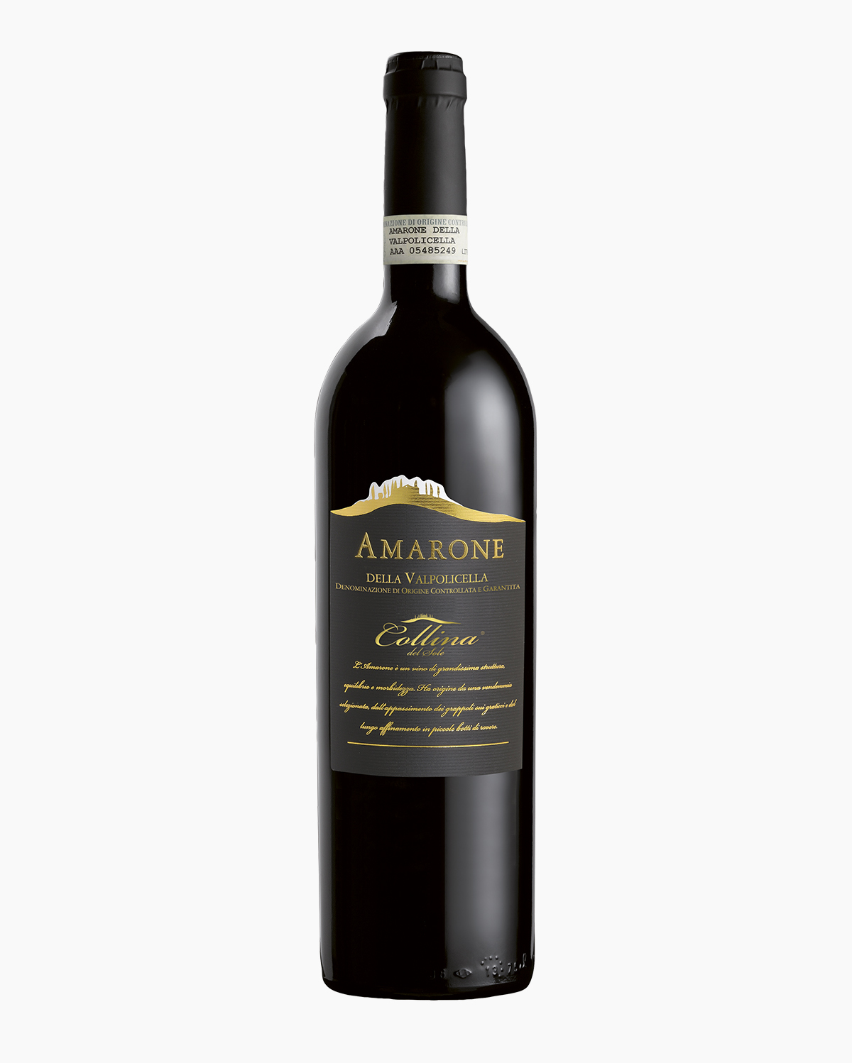 Bottega Amarone Valpolicella DOCG vino rosso fermo