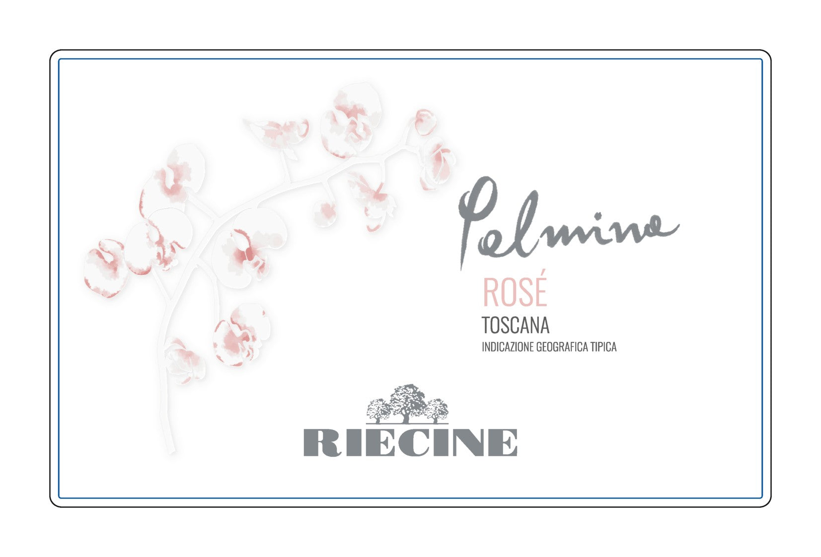 Riecine Palmina 2024 vino rosato Toscana Sangiovese 0,75 L