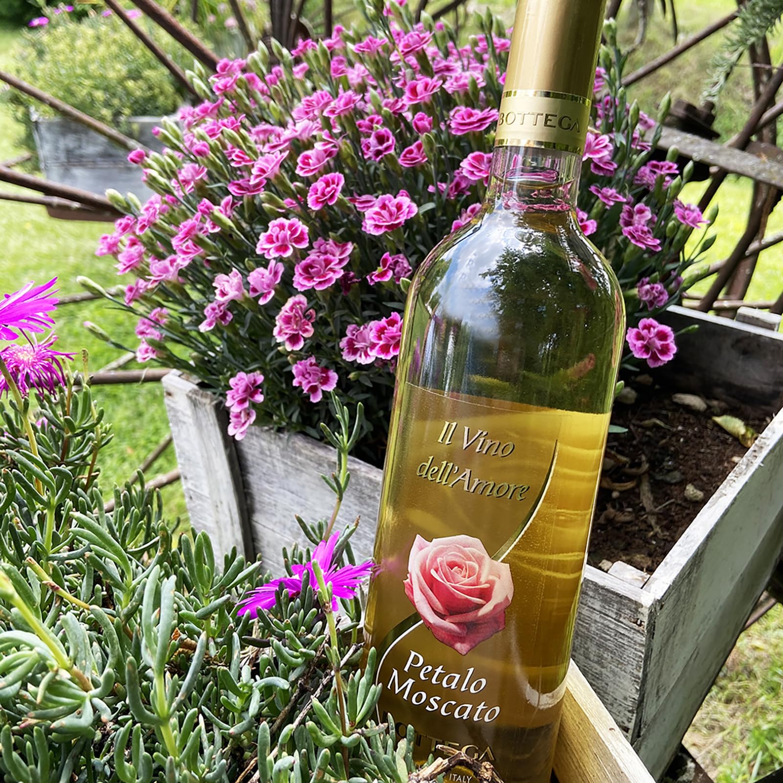 Bottega Moscato fermo bianco dolce 750 ml x6