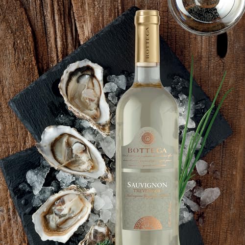 Bottega Sauvignon Trevenezie vino bianco 0,75 L x6