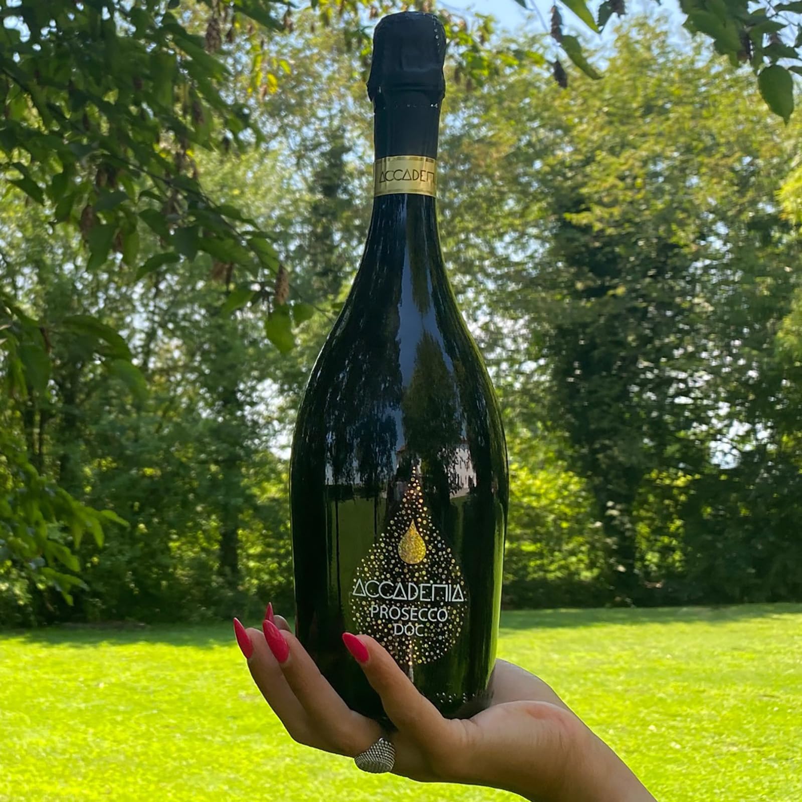 Accademia Black prosecco 750ml brut