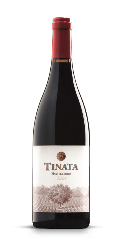 Monteverro Tinata 2013 vino rosso 750 ml Toscana