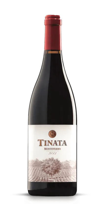 Monteverro Tinata 2013 vino rosso 750 ml Toscana