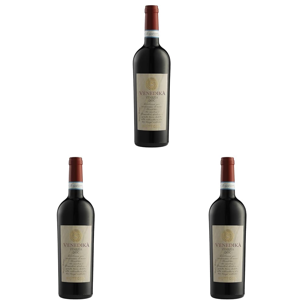 Bottega Cabernet Sauvignon Trevenezie IGT Rosso 750 ml