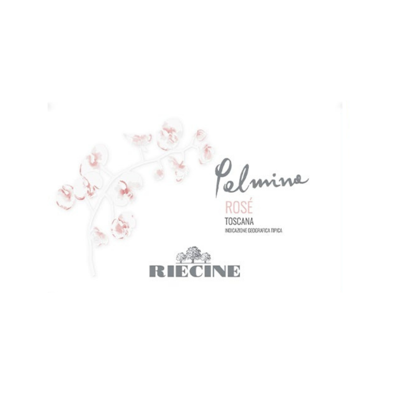 Riecine Palmina 2024 vino rosato Toscana Sangiovese 0,75 L