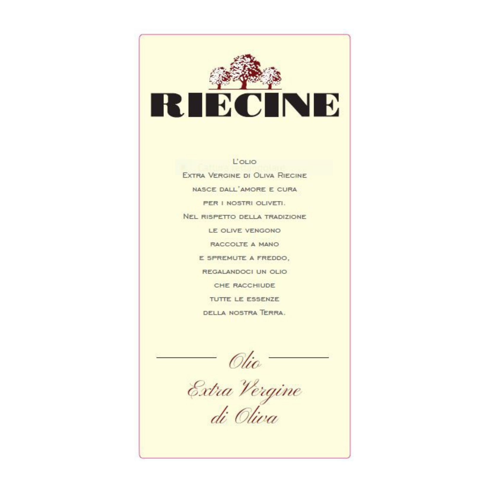 Riecine EVO olio extravergine oliva toscano 500 ml