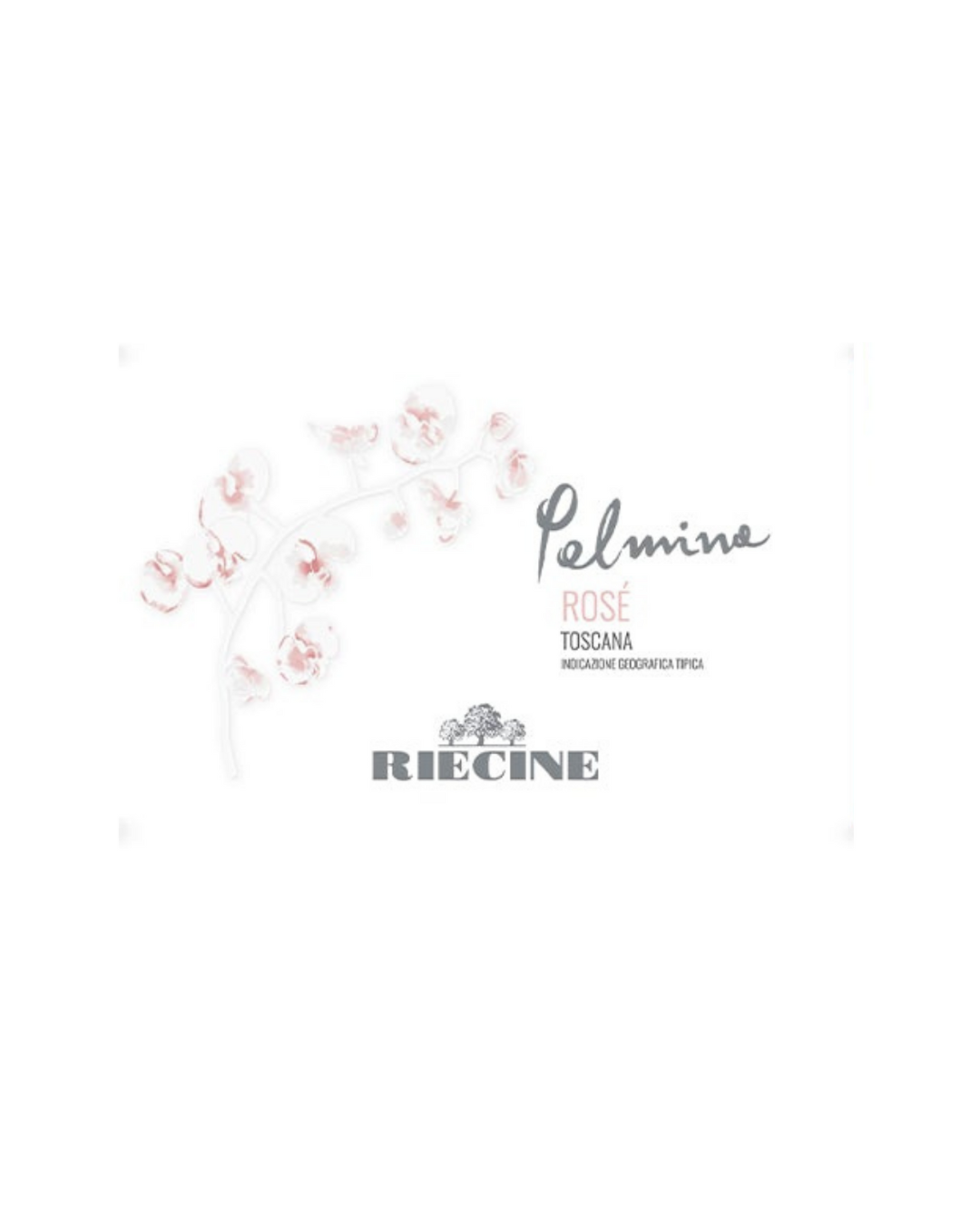 Riecine Palmina 2024 vino rosato Toscana Sangiovese 0,75 L