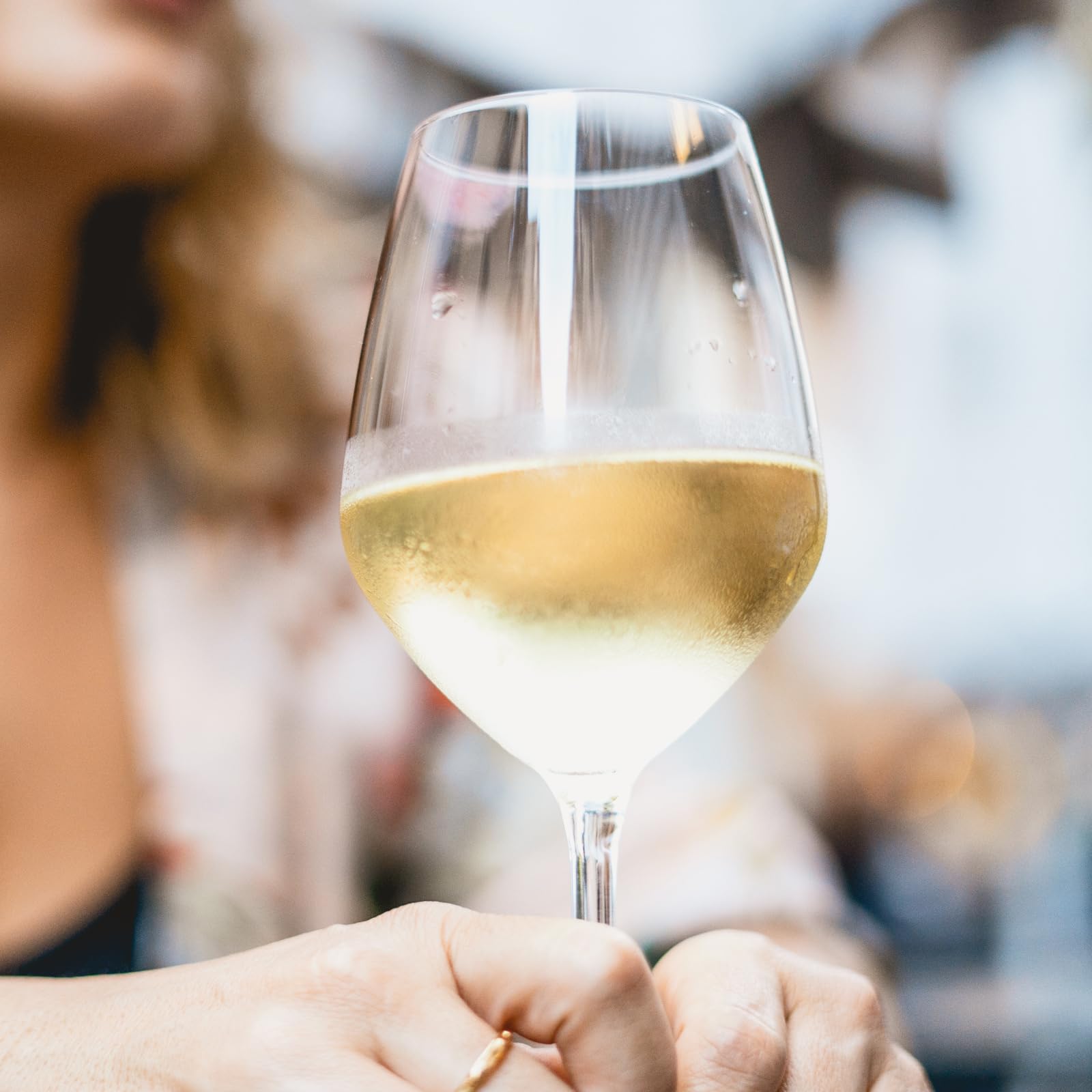 Bottega Collio Pinot Grigio vino bianco 0,75 L DOC