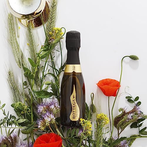 Bottega Vino dei Poeti Prosecco DOC brut 6x200 ml