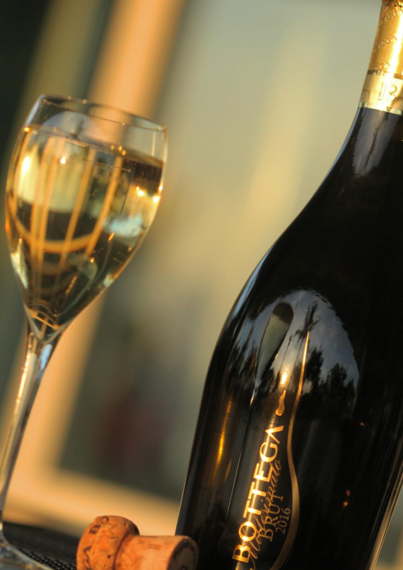 Bottega Millesimato Spumante Brut 6x750ml secco