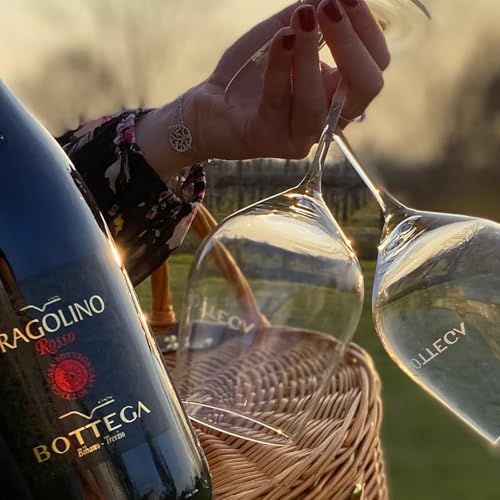 Bottega Fragolino Rosso Vino 750ml dolce fruttato