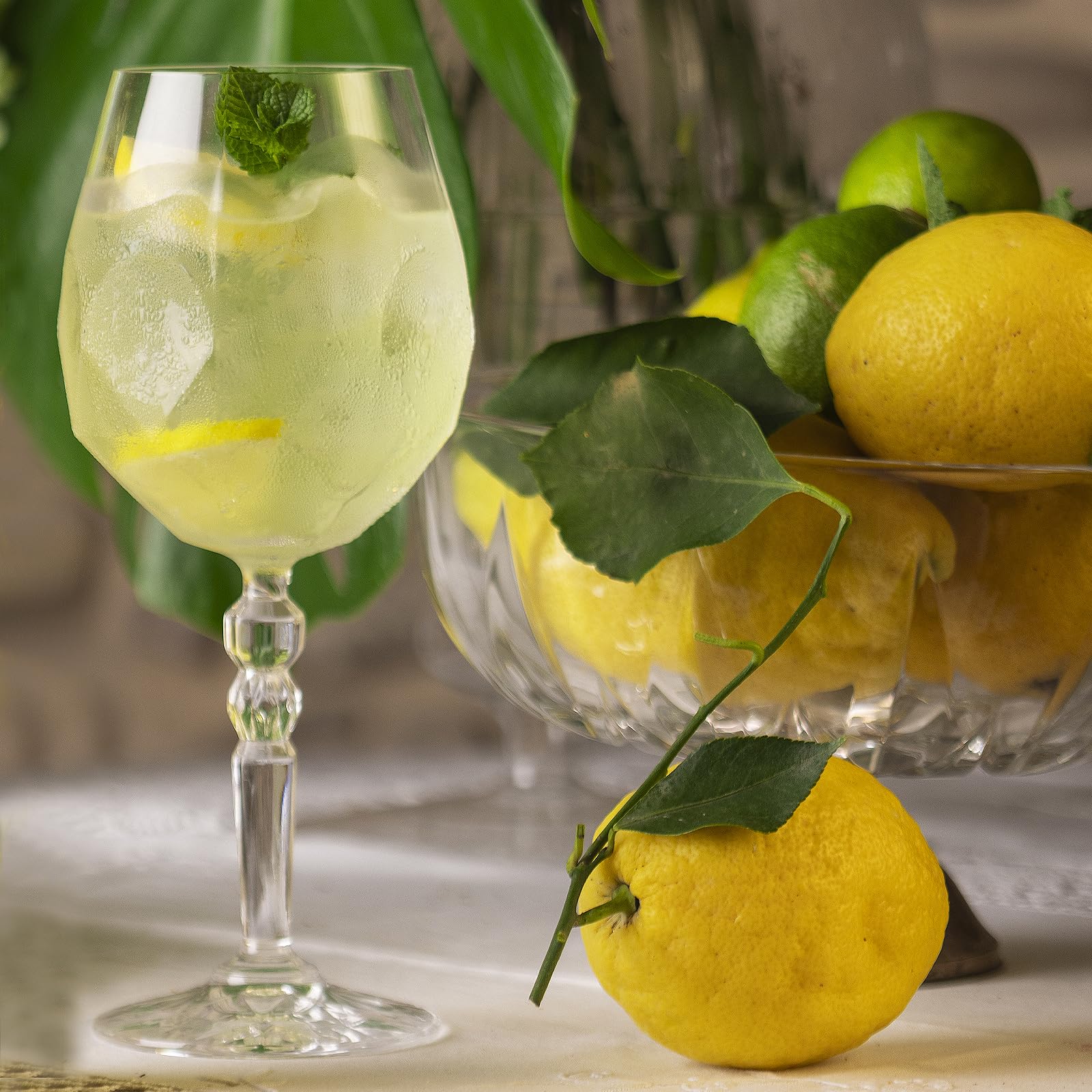 Bottega Lemon Spritz aperitivo 200 ml limone e menta