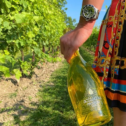 Accademia Yellow Prosecco DOC Brut Spumante 750ml
