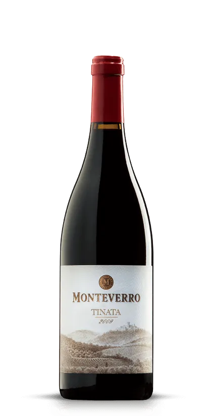 Monteverro Tinata 2009 vino rosso toscano 750 ml