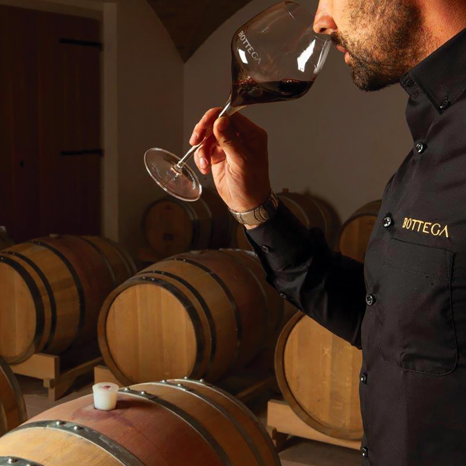 La Bottega del Gusto Venedikà Rosso Venezia DOC vino rosso 750 ml
