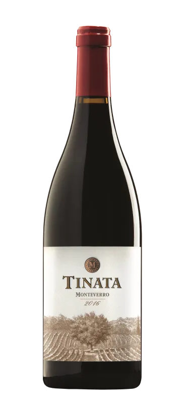 Monteverro Tinata 2016 vino rosso Toscana 750 ml