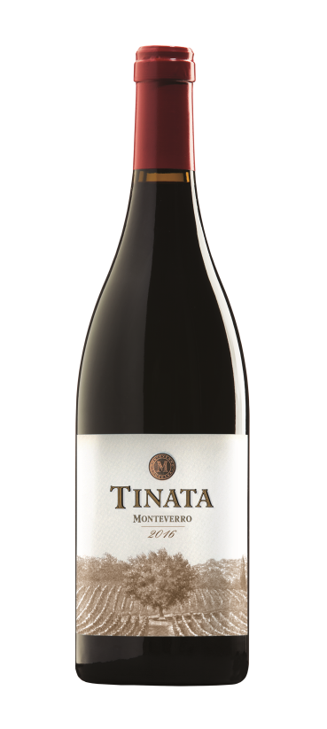 Monteverro Tinata 2016 vino rosso Toscana 750 ml