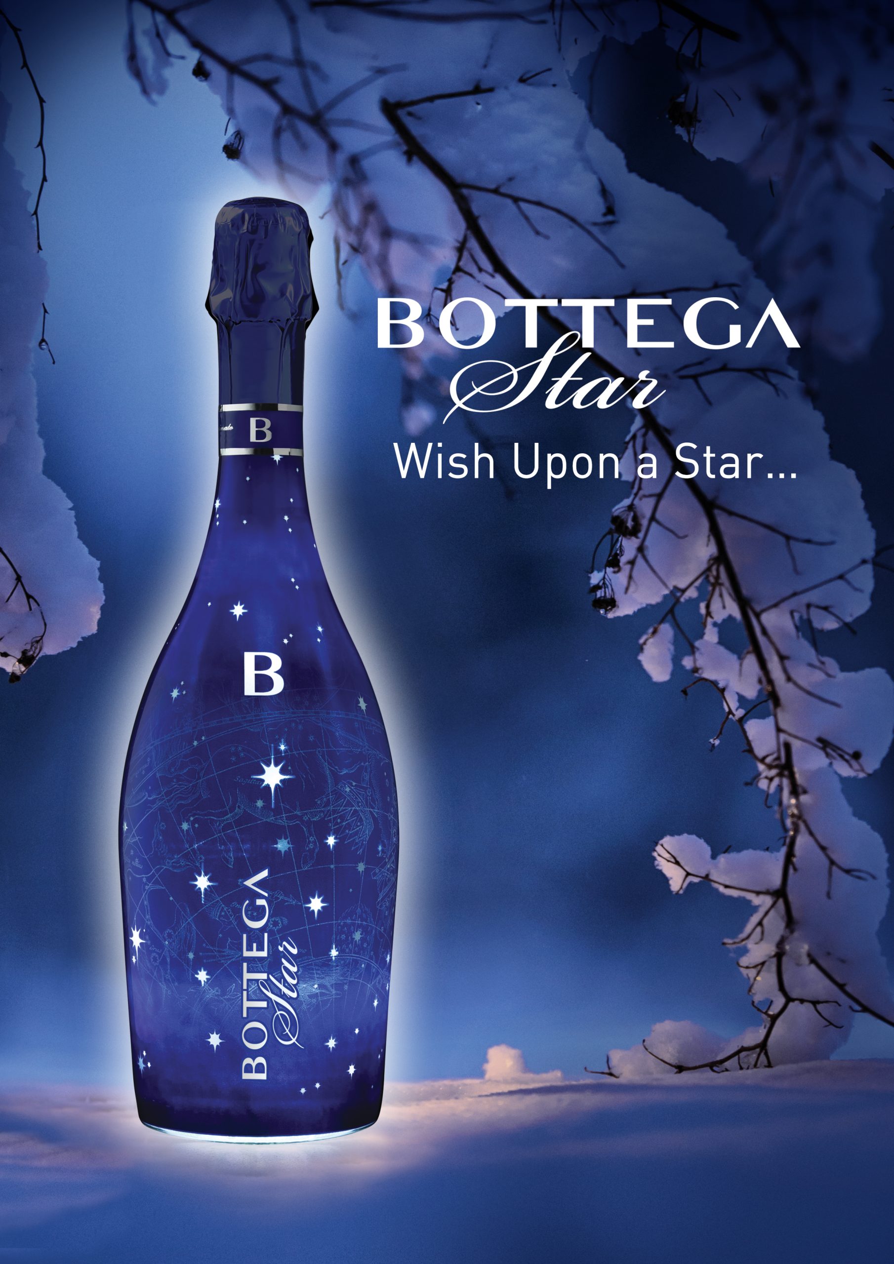Bottega Star spumante italiano 75 cl brut