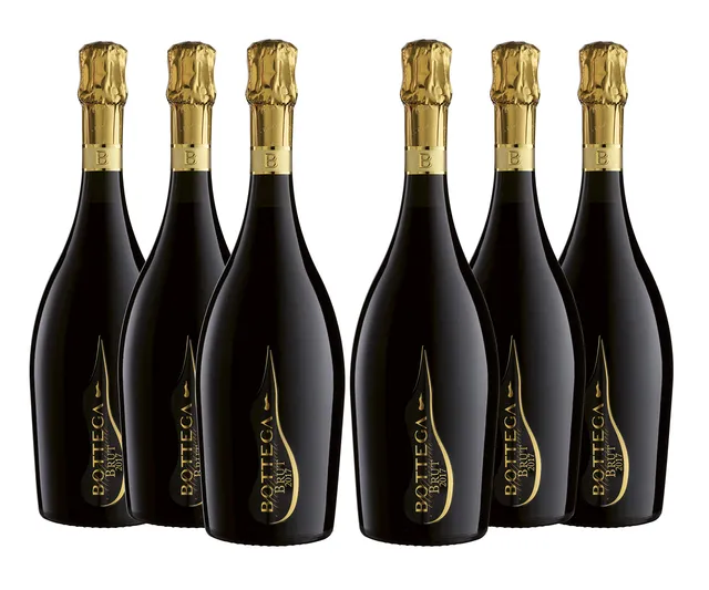 Bottega Millesimato Spumante Brut 6x750ml secco